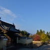 1211奈良公園6