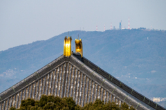 2025年春・奈良公園　二月堂の舞台からの眺め