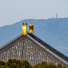 2025年春・奈良公園　二月堂の舞台からの眺め