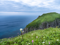 礼文島の風景