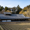 2025年春・奈良公園　東大寺供田