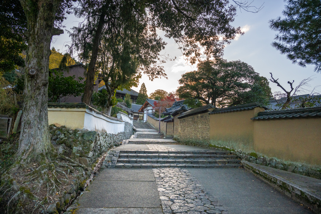 2024年・晩秋の奈良公園　二月堂への道