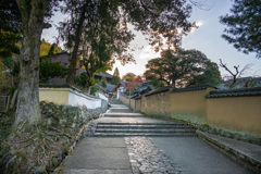2024年・晩秋の奈良公園　二月堂への道