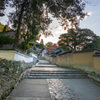 2024年・晩秋の奈良公園　二月堂への道