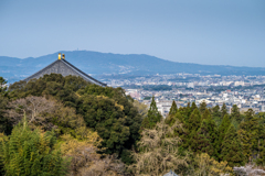 2025年春・奈良公園　二月堂の舞台からの眺め