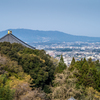 2025年春・奈良公園　二月堂の舞台からの眺め