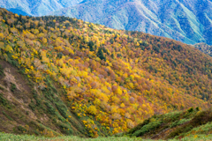 尾瀬と会津駒の旅・富士見大杉尾根　会津の紅葉は素晴らしい