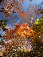 会津駒ケ岳