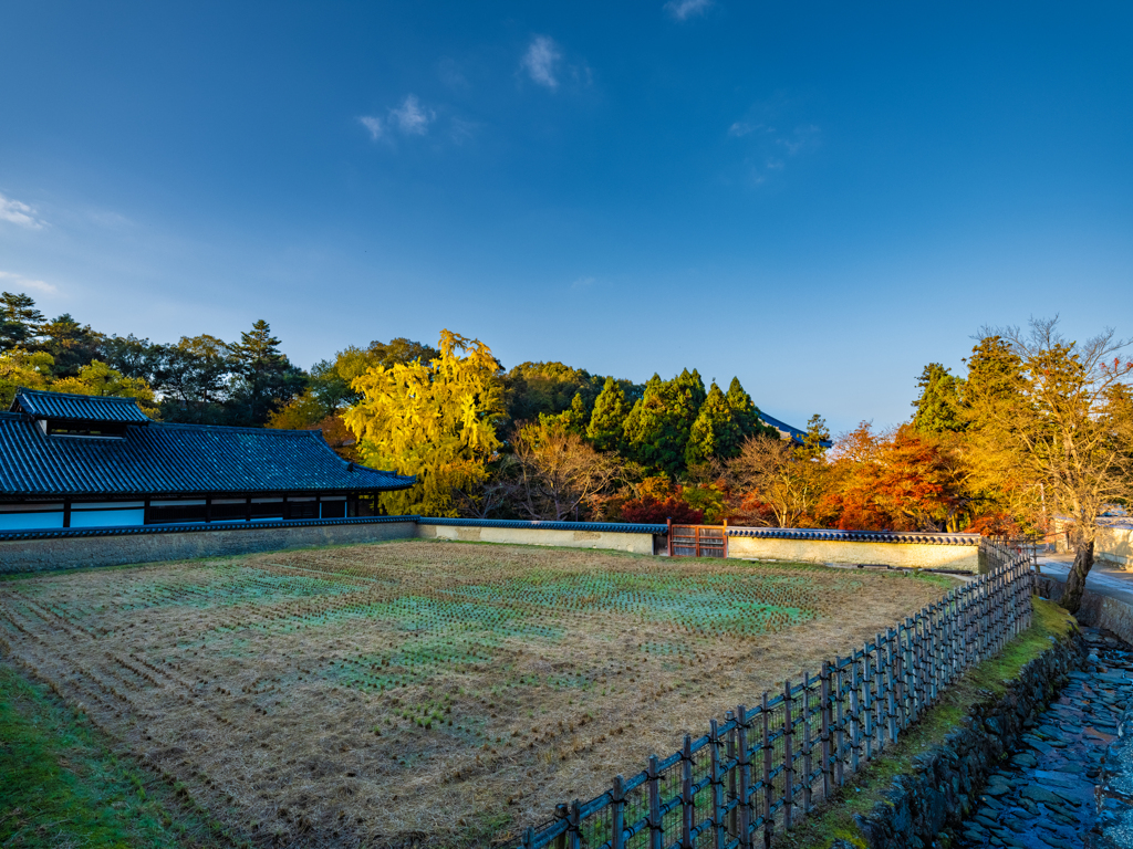 奈良公園・二月堂界隈