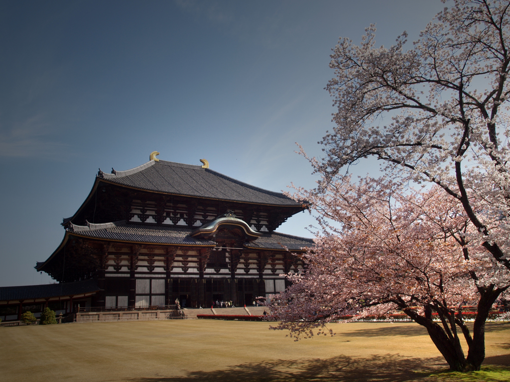 春・東大寺2