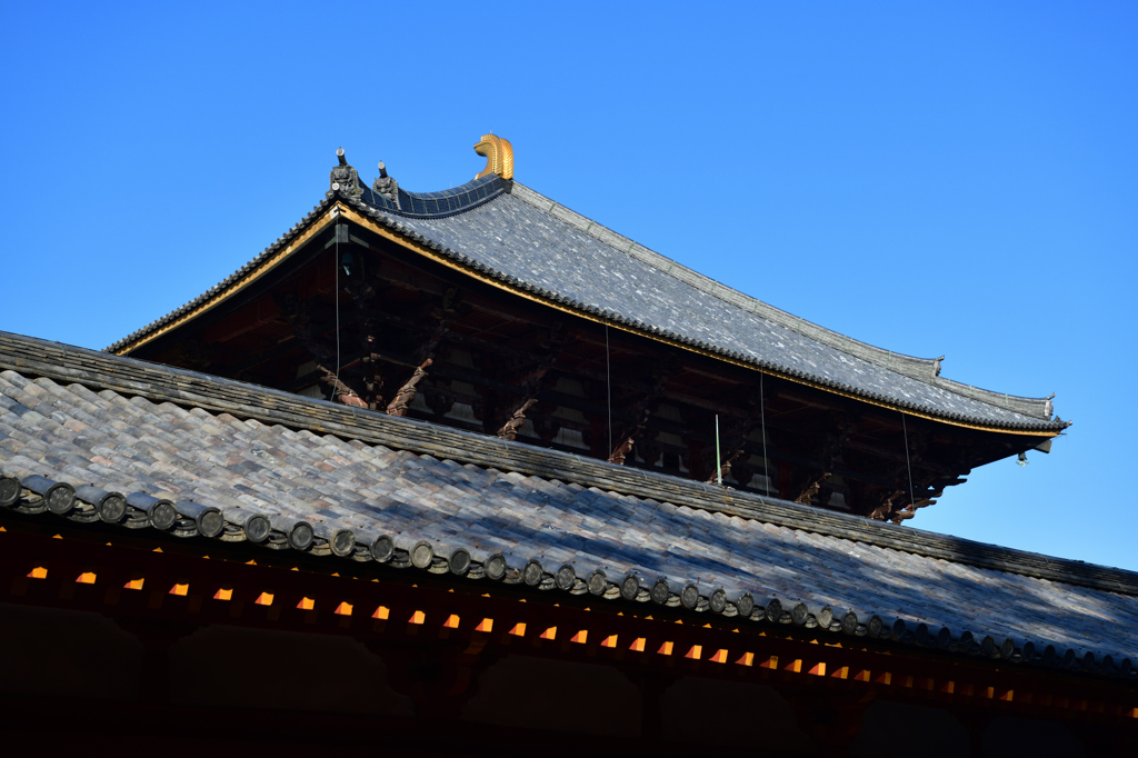 奈良公園