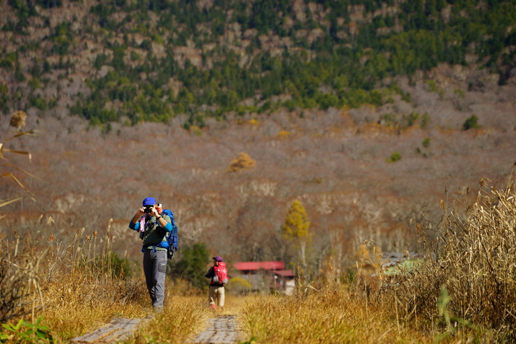 おいおい、俺を撮ってどうすんねん　尾瀬ヶ原にて
