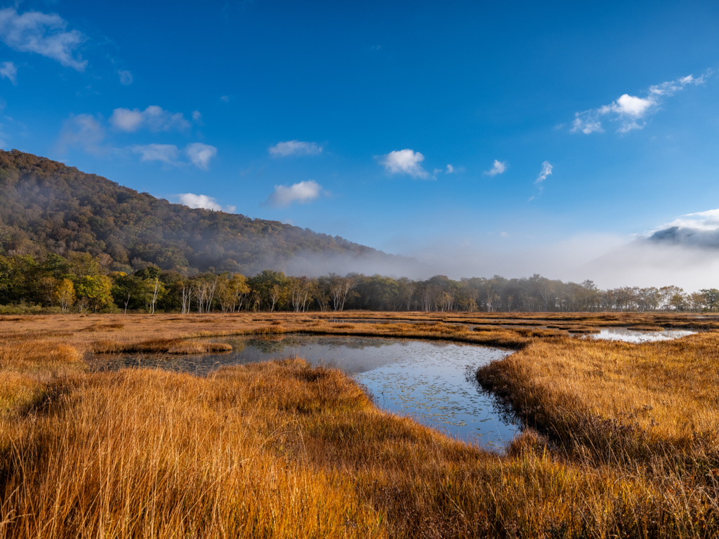 尾瀬と会津駒の旅・尾瀬ヶ原を行く　上田代