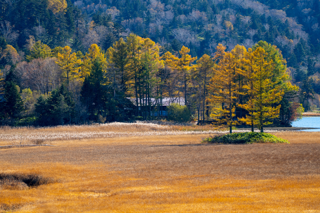 尾瀬沼・長蔵小屋