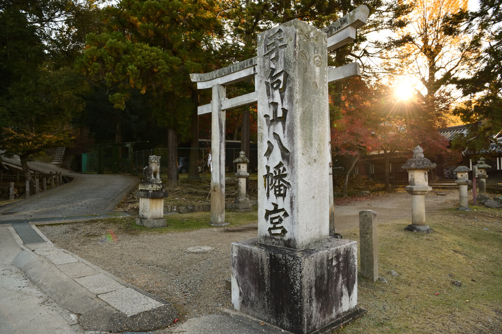 秋・奈良公園