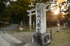 秋・奈良公園