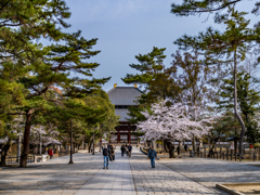 2025年春・奈良公園