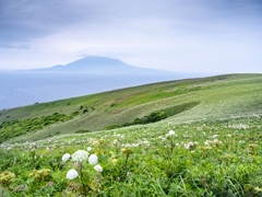 礼文島の風景