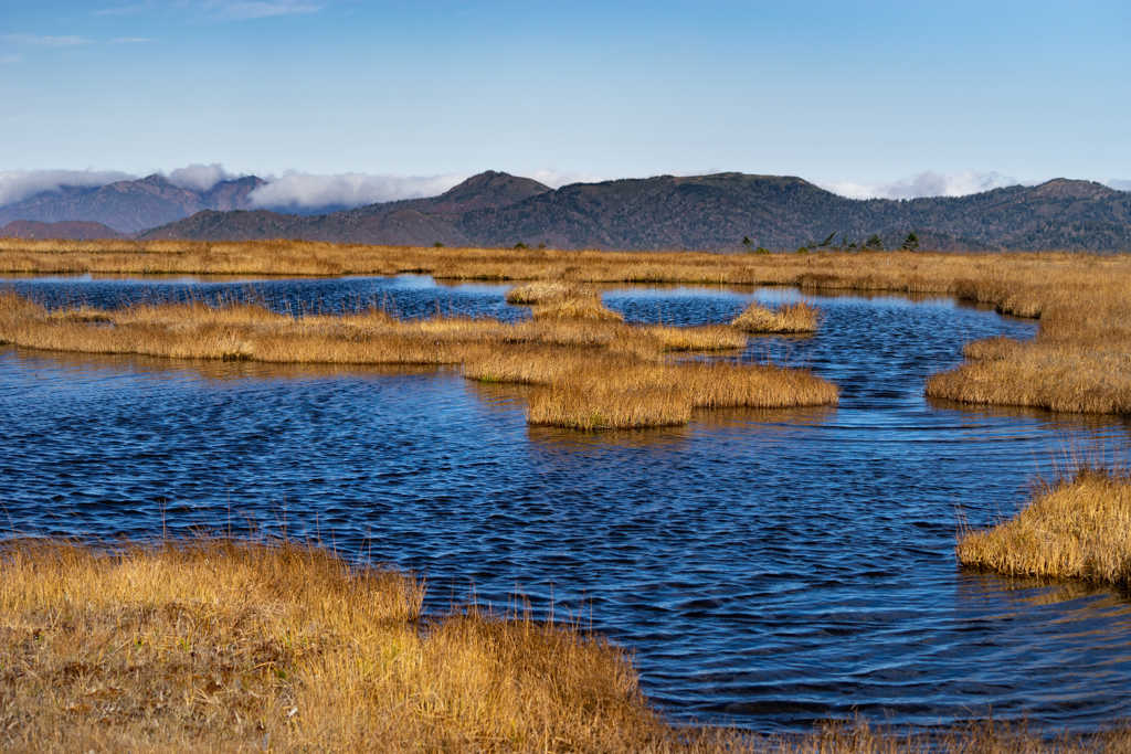 尾瀬　アヤメ平
