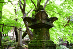 室生寺
