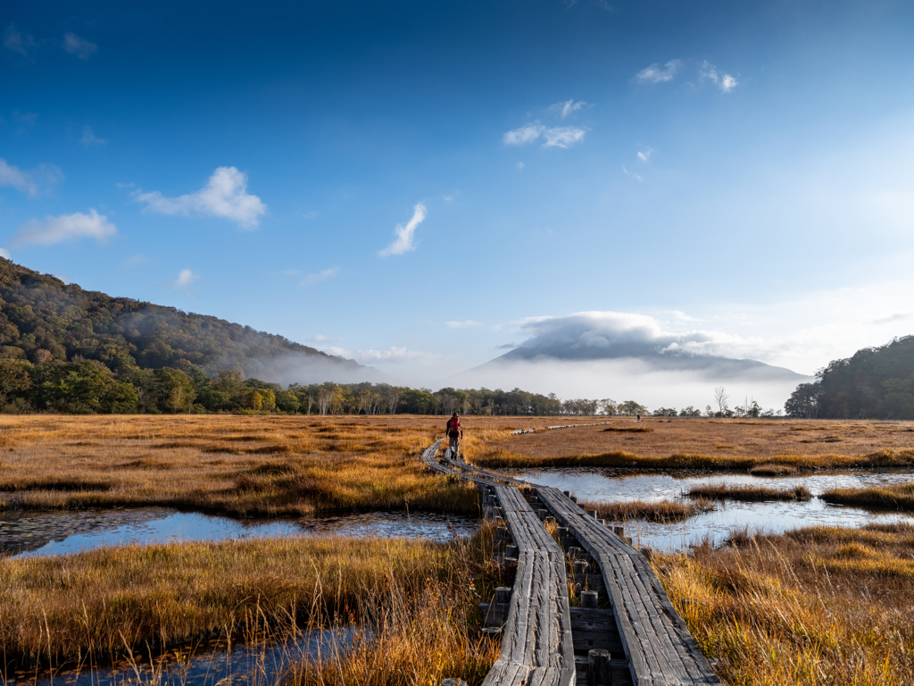 尾瀬と会津駒の旅・尾瀬ヶ原を行く　上田代