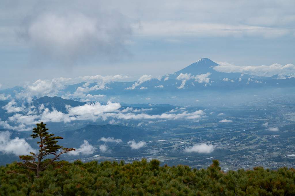 八ヶ岳・編笠山より富士