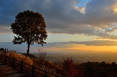 晩秋の若草山から