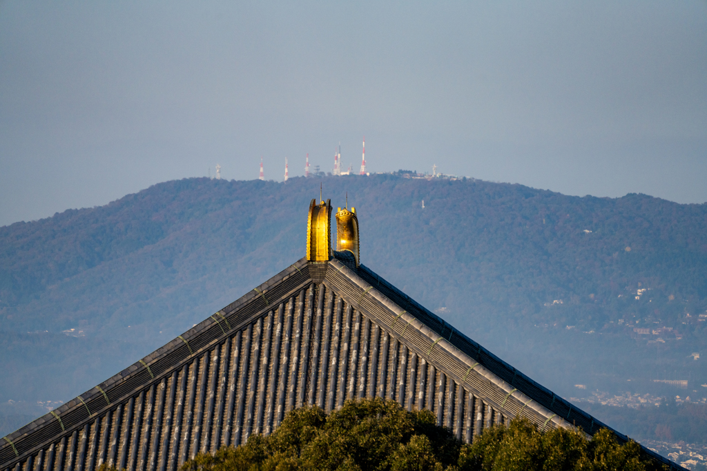 東大寺
