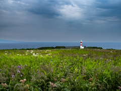 礼文島の風景・奮部灯台