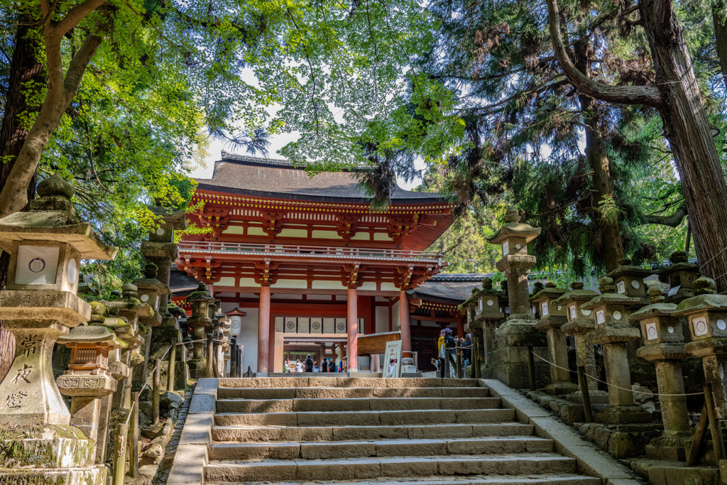 2025年・春日大社