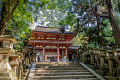 2025年・春日大社