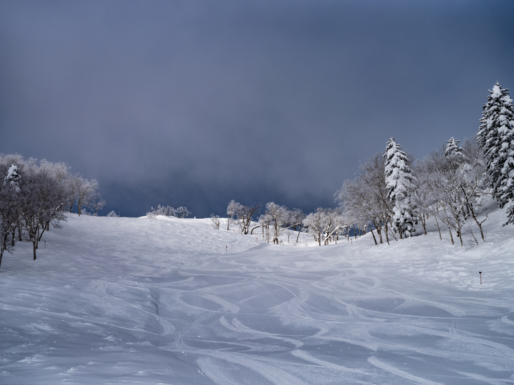 富良野スキー場