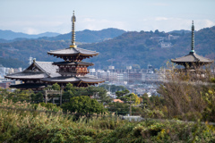 西ノ京・七条大池からの薬師寺