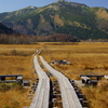 尾瀬ケ原　至仏山