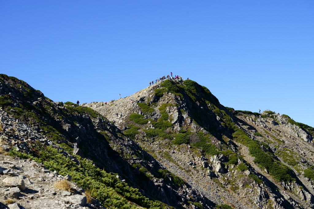 仙丈ケ岳の頂上ピーク