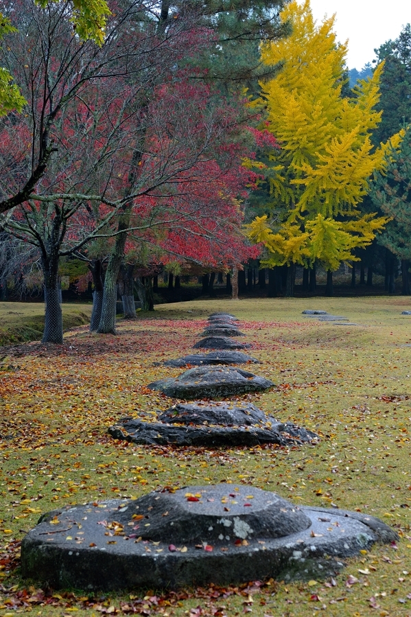 1211奈良公園4