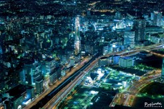 Night view from the 69th floor