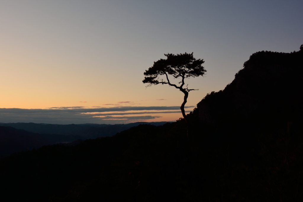 木影　鳳来寺山にて