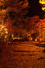 岩屋堂公園