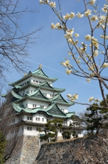 名古屋城と梅