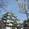 名古屋城と梅