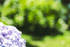 梅雨なのに熱いなぁ