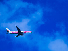 空を泳ぐジンベイザメ