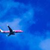 空を泳ぐジンベイザメ