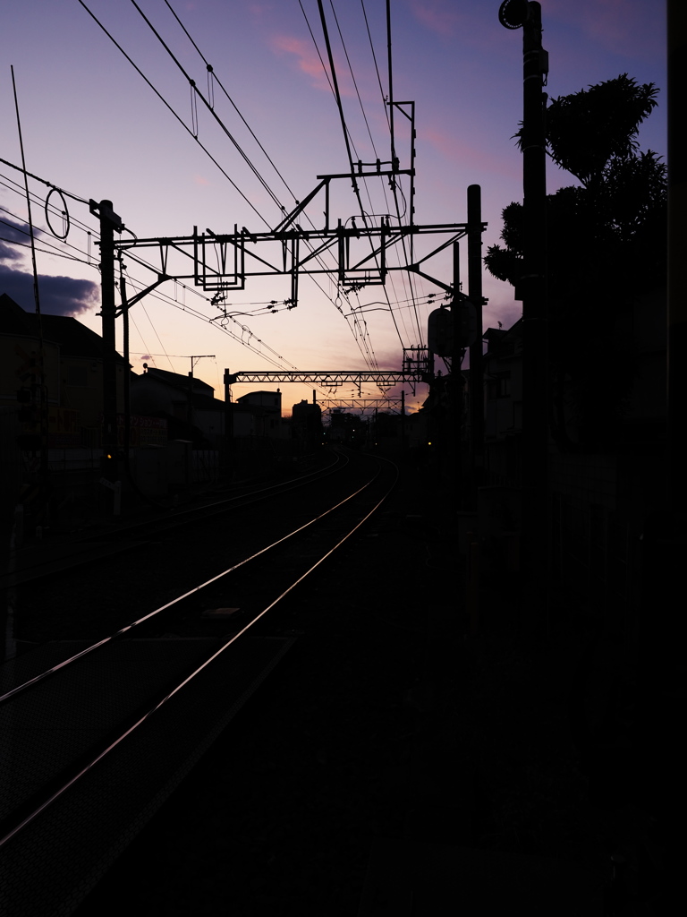 家路