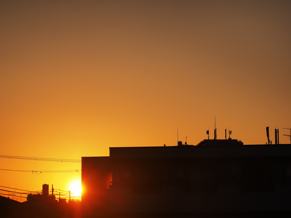 いつもの夕日が綺麗でよかった