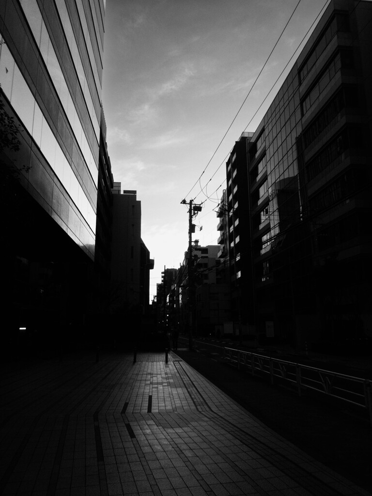 光る路面、ビル