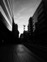 光る路面、ビル