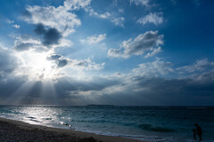 沖縄…海に親子