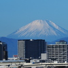 社会に溶け込む富士山